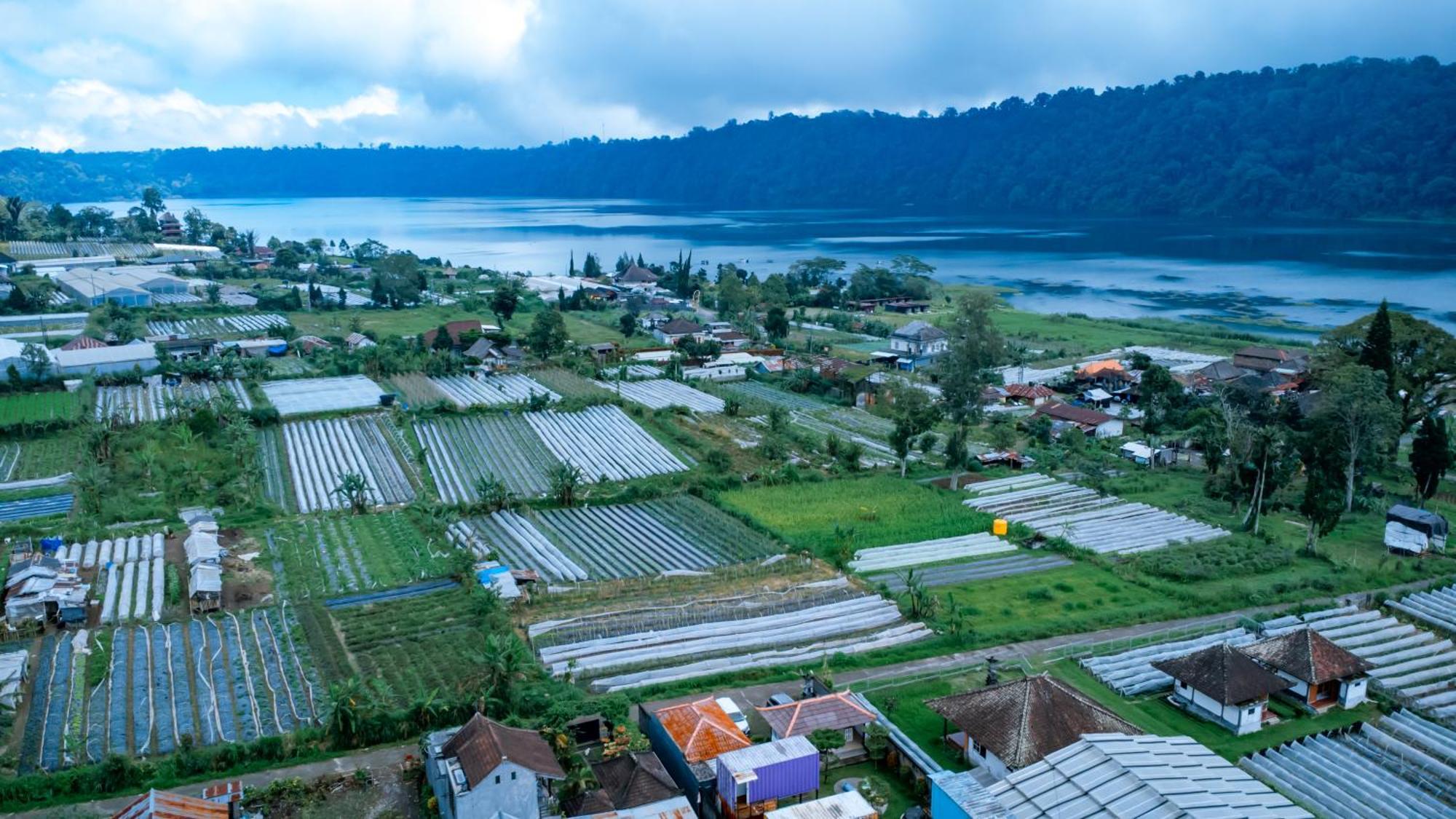 Container Smart Stay Css Bedugul  Esterno foto
